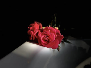 💕 Amour Amour – Loveroom